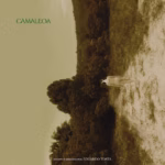 camaeloa_poster1 (1)